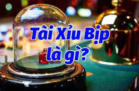 Tài xỉu bịp là gì? Cách nhận biết tài xỉu bịp đơn giản cho lính mới 