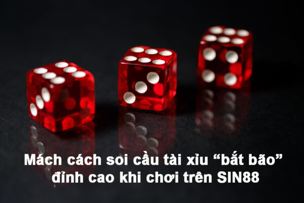 Mách cách soi cầu tài xỉu “bắt bão” đỉnh cao khi chơi trên SIN88