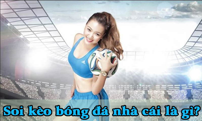 Học ngay 7 cách soi kèo bóng đá nhà cái chuẩn từ cao thủ 1 Học ngay 7 cách soi kèo bóng đá nhà cái chuẩn từ cao thủ