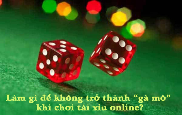 Làm gì để không trở thành “gà mờ” khi chơi tài xỉu online?
