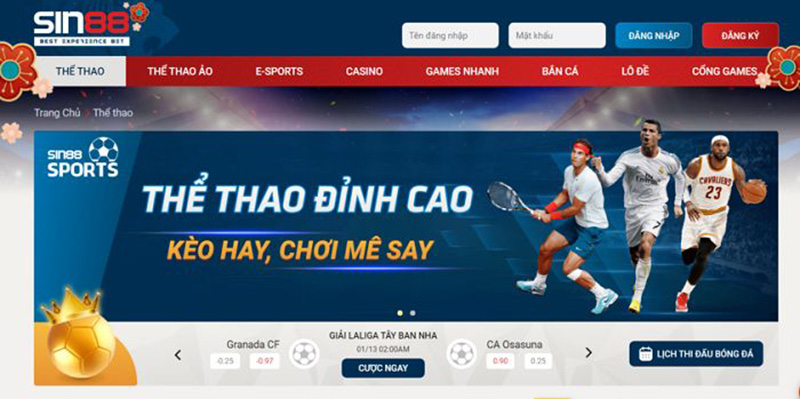 9+ Mẹo cá cược bóng đá bất bại mọi nhà cái