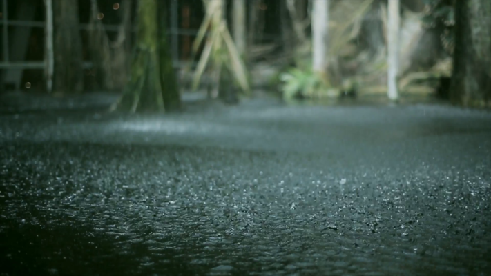 Nằm mơ thấy trời mưa thì đánh con gì? 2 MƯA